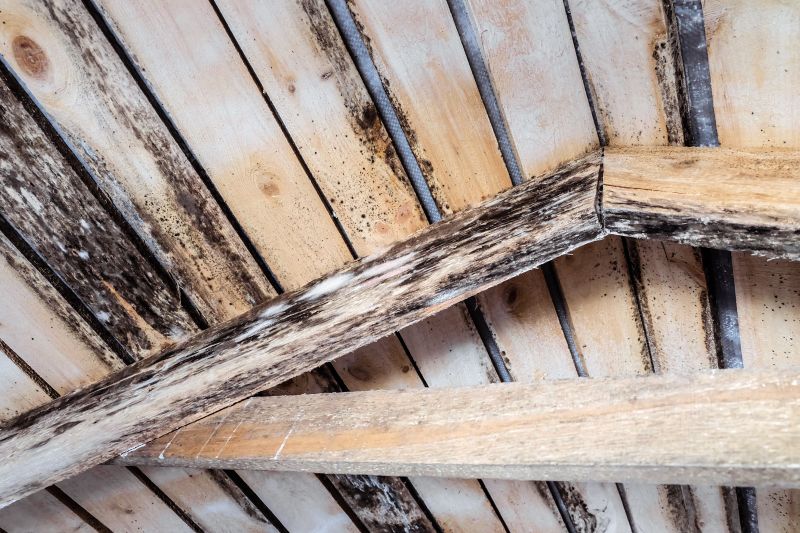 Contact About Rotted Joist Repair