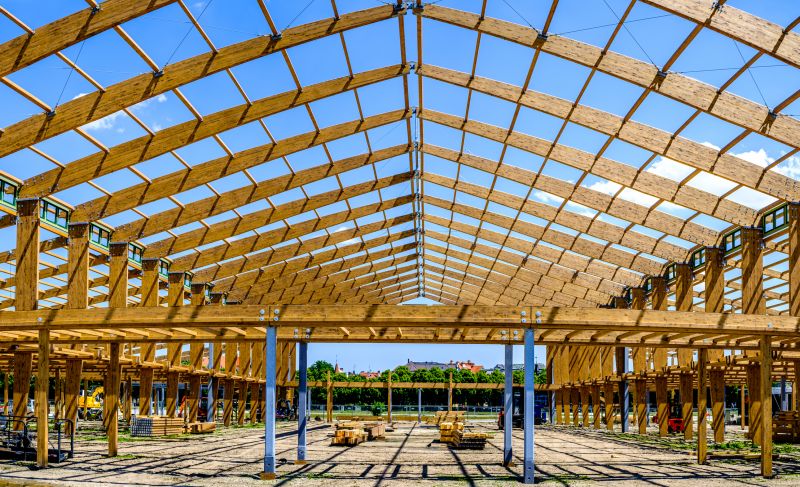 Roof Framing Repair