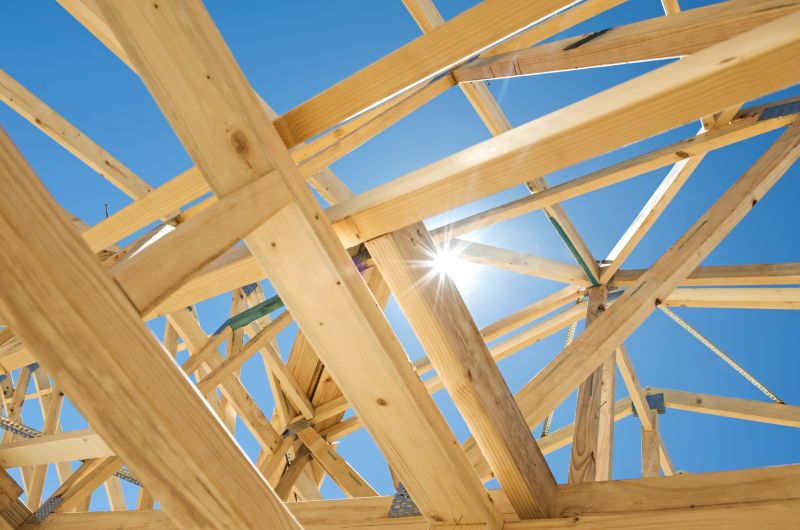 Roof Framing Repair