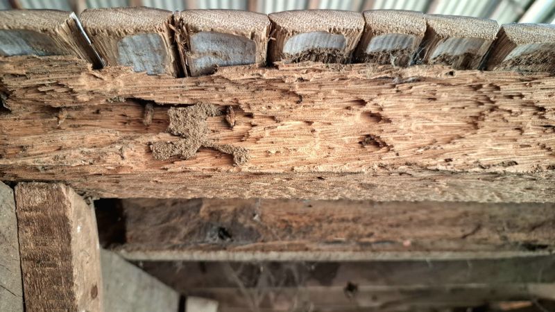 Rotted Joist Repair