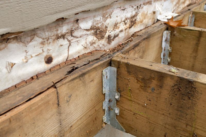 Rotted Joist Repair