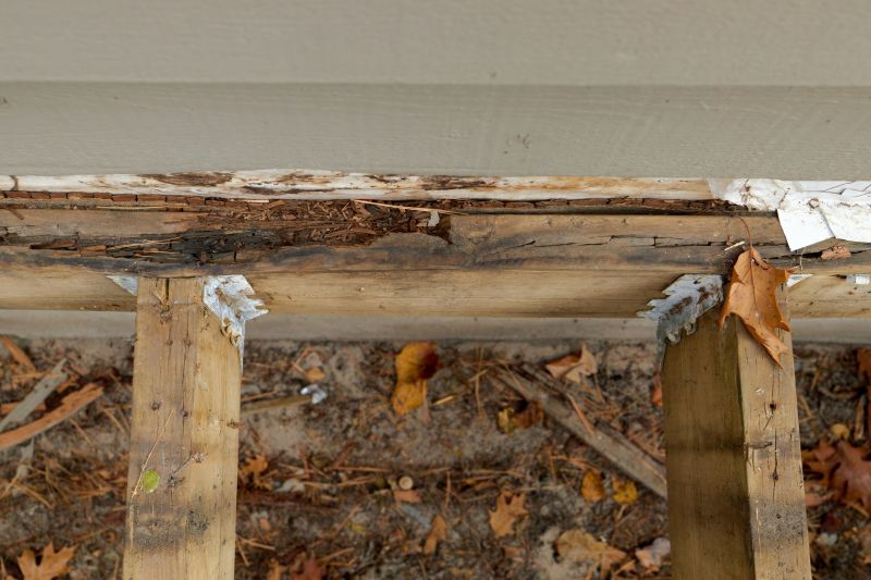 Rotted Joist Repair