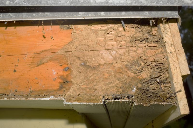 Rotted Joist Repair