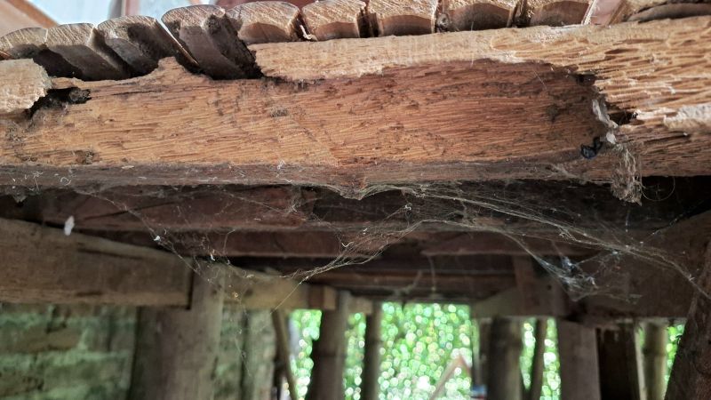 Rotted Joist Repair