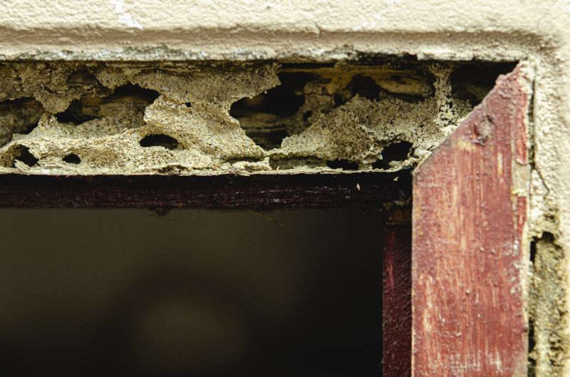 Rotted Joist Repair